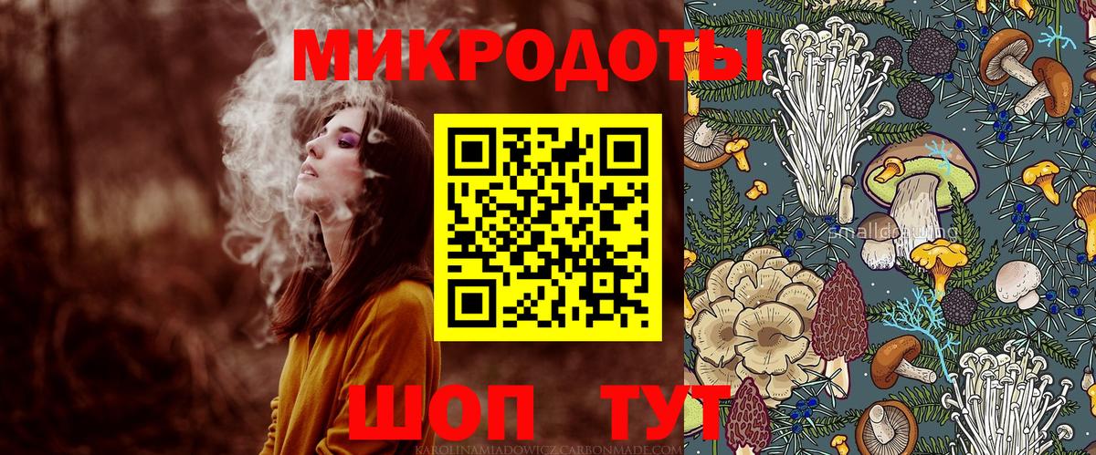 Галлюциногенные грибы Psilocybe Пушкино