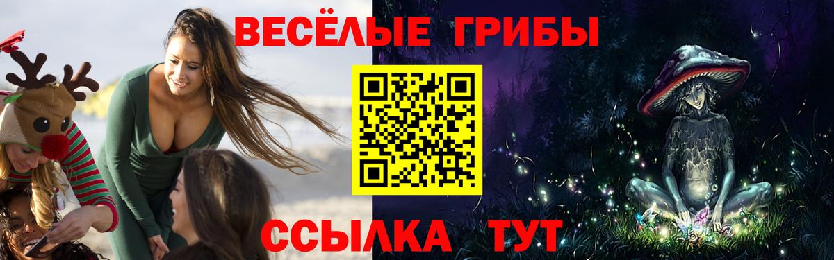 Галлюциногенные грибы мицелий  где купить наркоту  Пушкино  Вход с VPN  Псилоцибиновые грибы Psilocybe 